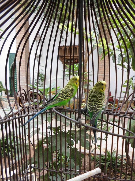 Hotel Dar Kleta Marrakesz Zewnętrze zdjęcie